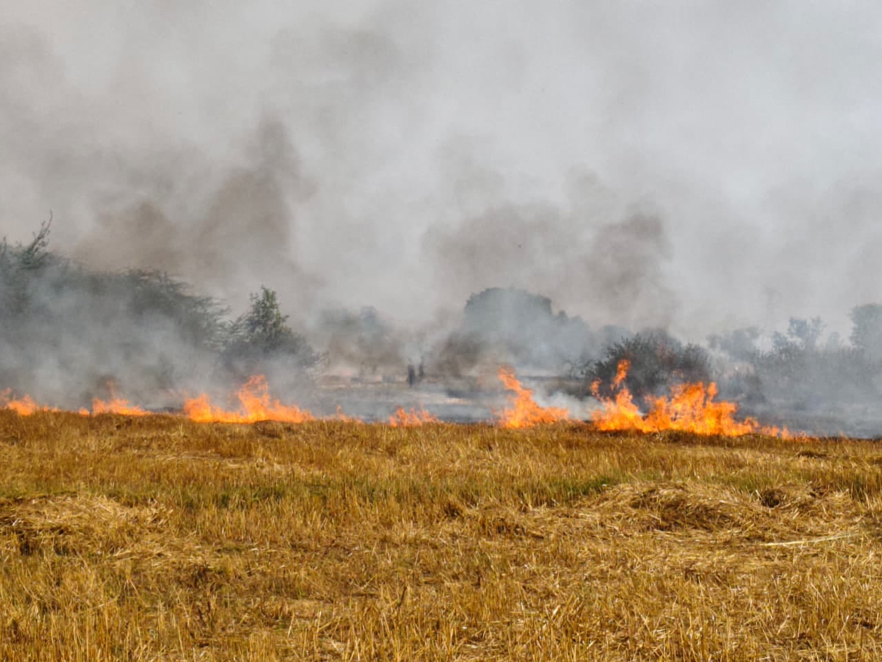 फोटो-28-गांव पुरवा भदौरिया में आग बुझाते ग्रामीण। संवाद