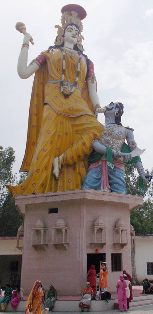 फोटो, स्वामी अयोध्या प्रसाद मिश्रा महाराज। संवाद फोटो, स्वामी अयोध्या प्रसाद मिश्रा महाराज। संवाद