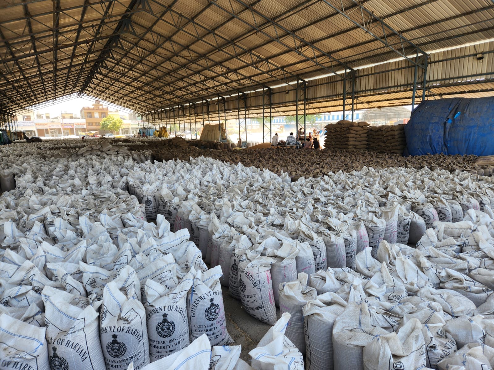 कुरुक्षेत्र। थानेसर अनाजमंडी में बायोमेट्रिक करवाता हुआ बुजुर्ग किसान। संवाद