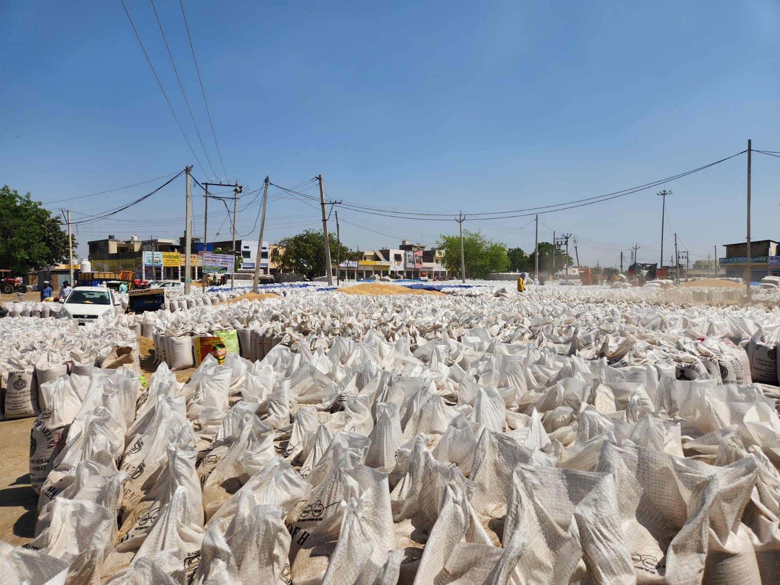 कुरुक्षेत्र। थानेसर अनाजमंडी में बायोमेट्रिक करवाता हुआ बुजुर्ग किसान। संवाद