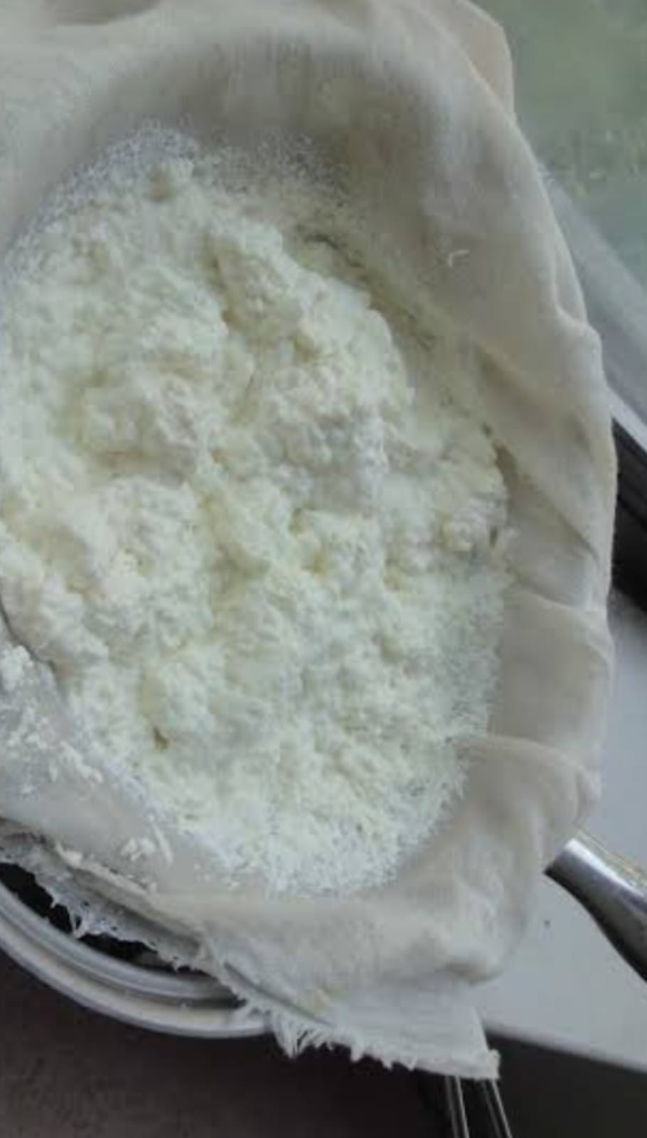 पनीर के लिए तैयार दूध।  संवाद