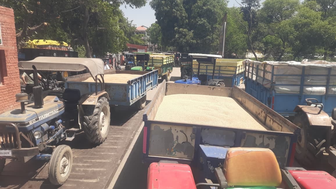 जगाधरी अनाज मंडी में बायोमेट्रिक न होने से लगी ट्रालियों की लाइन। संवाद
