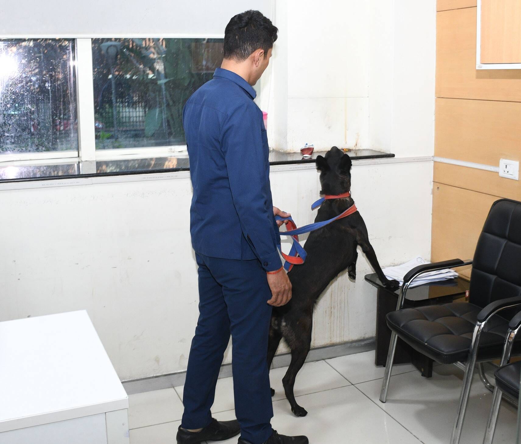 पासपोर्ट ऑफिस में जांच करता बम स्कवॉयड व पुलिस।