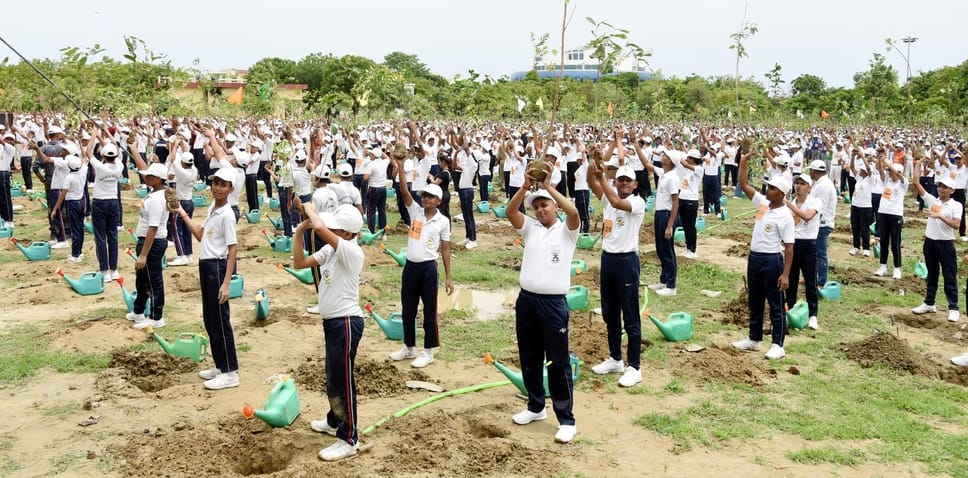 सूख रहे पौधे और पहले पौधरोपण करने के दौरान की तस्वीर।