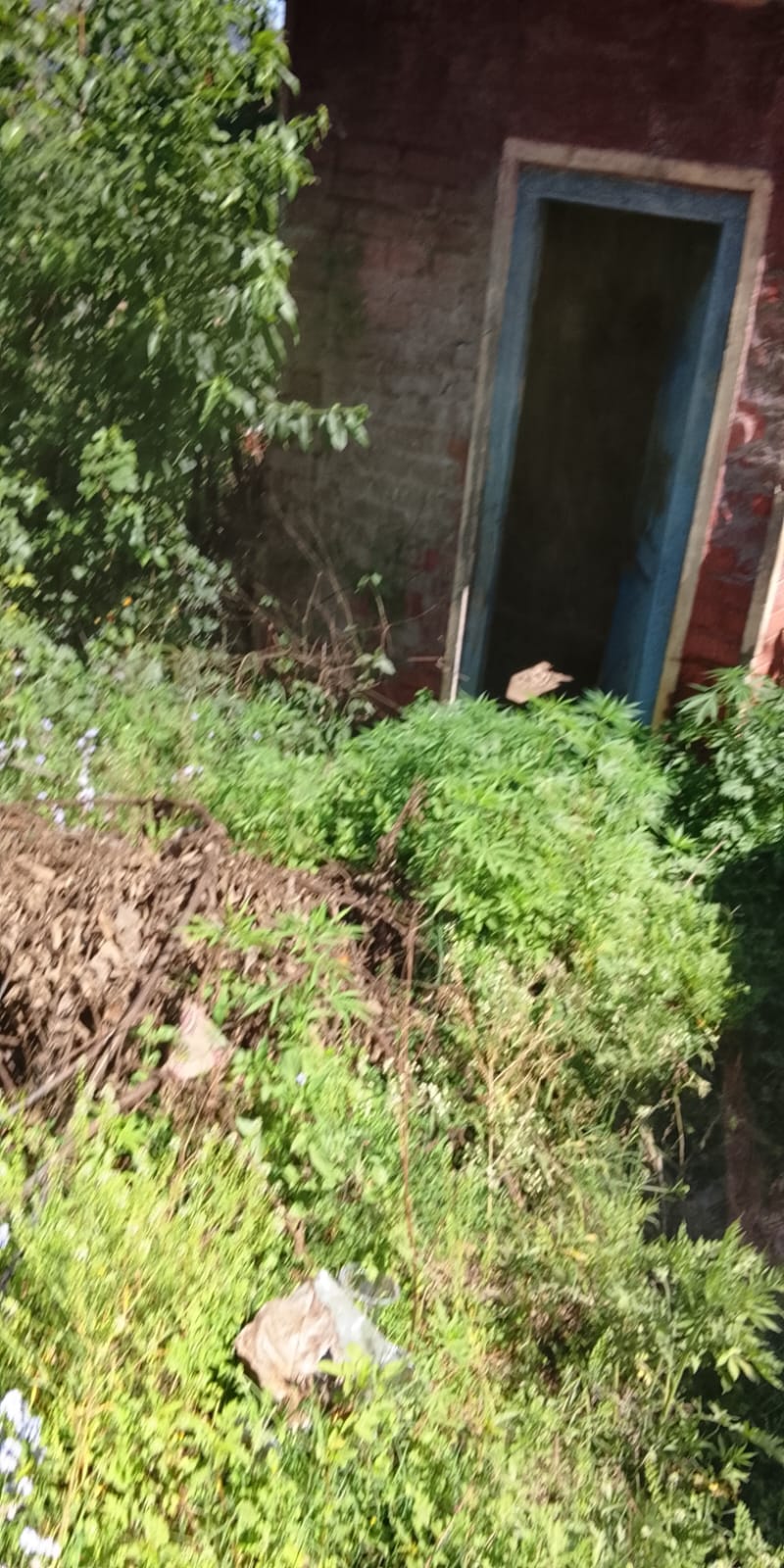 विनोद सेठी