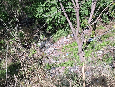 रामपुर के वार्ड नंबर दो में बंद पड़ी नाली में जमी गंदगी। संवाद रामपुर के वार्ड नंबर दो में बंद पड़ी नाली में जमी गंदगी। संवाद