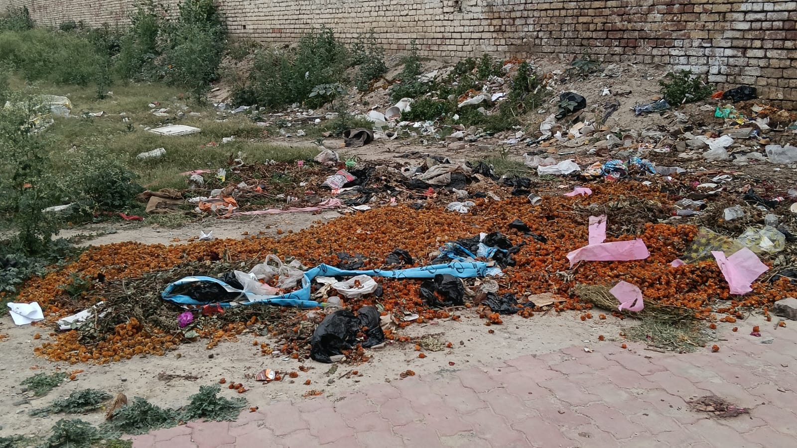 बदहाल पड़ा भाई उदय सिंह का किला। बदहाल पड़ा भाई उदय सिंह का किला।
