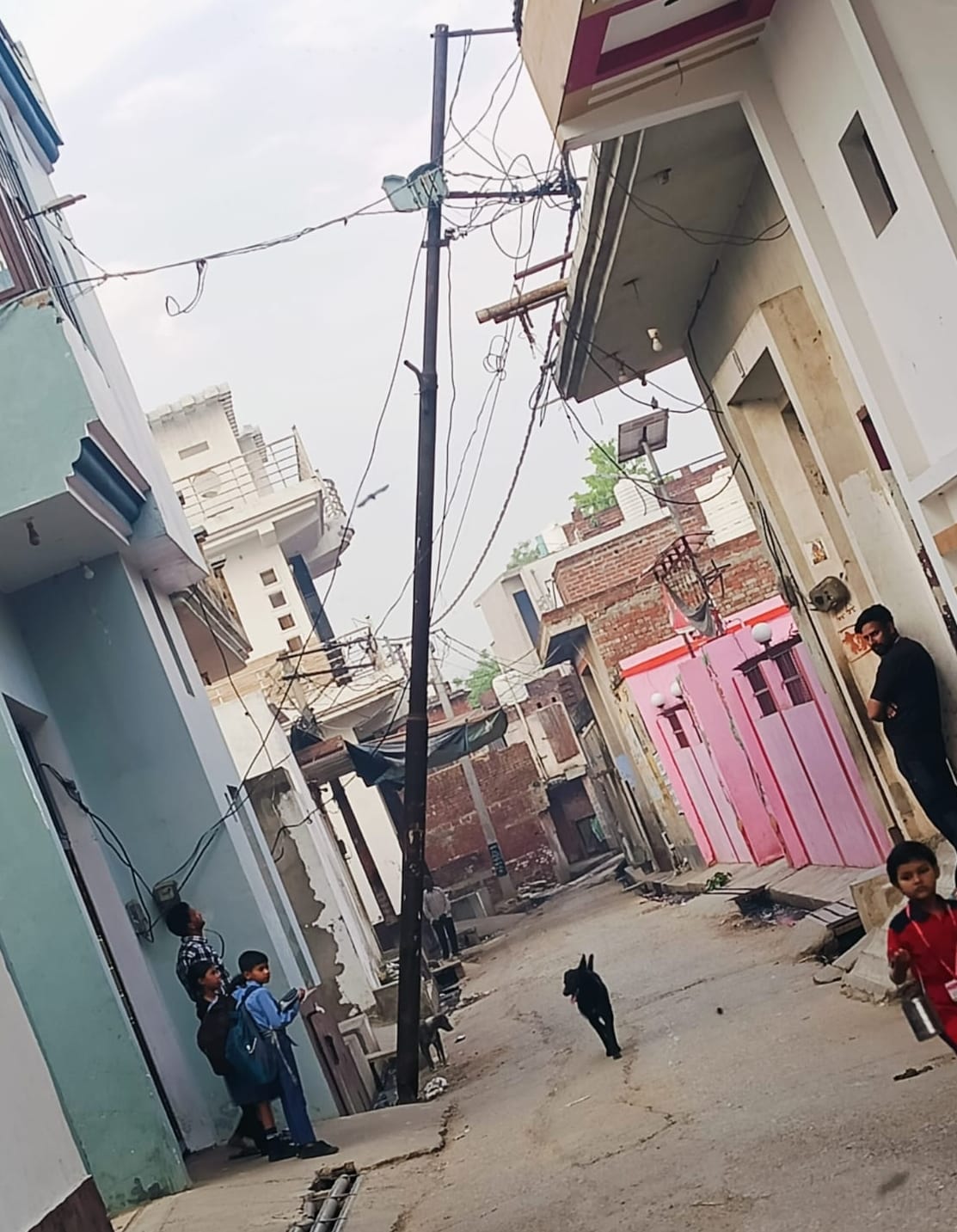 गांव दतियाना के जंगल में आंधी के दौरान खेत में गिरा बिजली का खंभा। संवाद