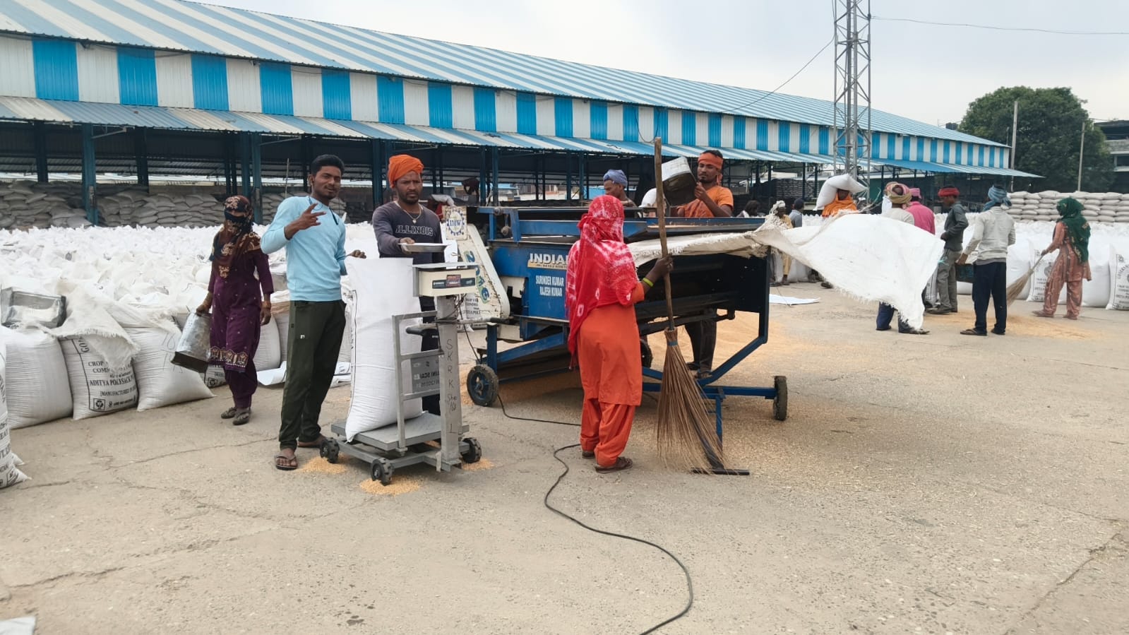जगाधरी अनाज मंडी में उठान न होने से अटी मंडी। संवाद