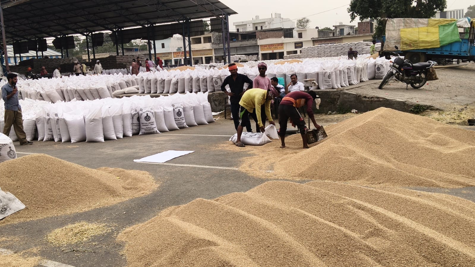 जगाधरी में गोदाम के बाहर अनलोडिंग के लिए खड़े गेहूं के बैग से भरे ट्रक। संवाद
