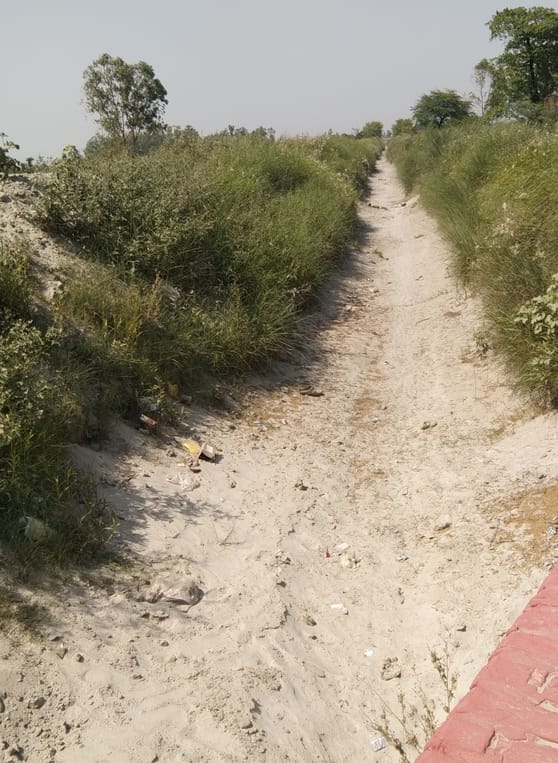 सूखी शारदा सहायक हैदरगढ़ नहर शाखा प्रणाली, सूखती मेंथा फसल व सूखी पड़ी हरदोईया अल्पिका। 