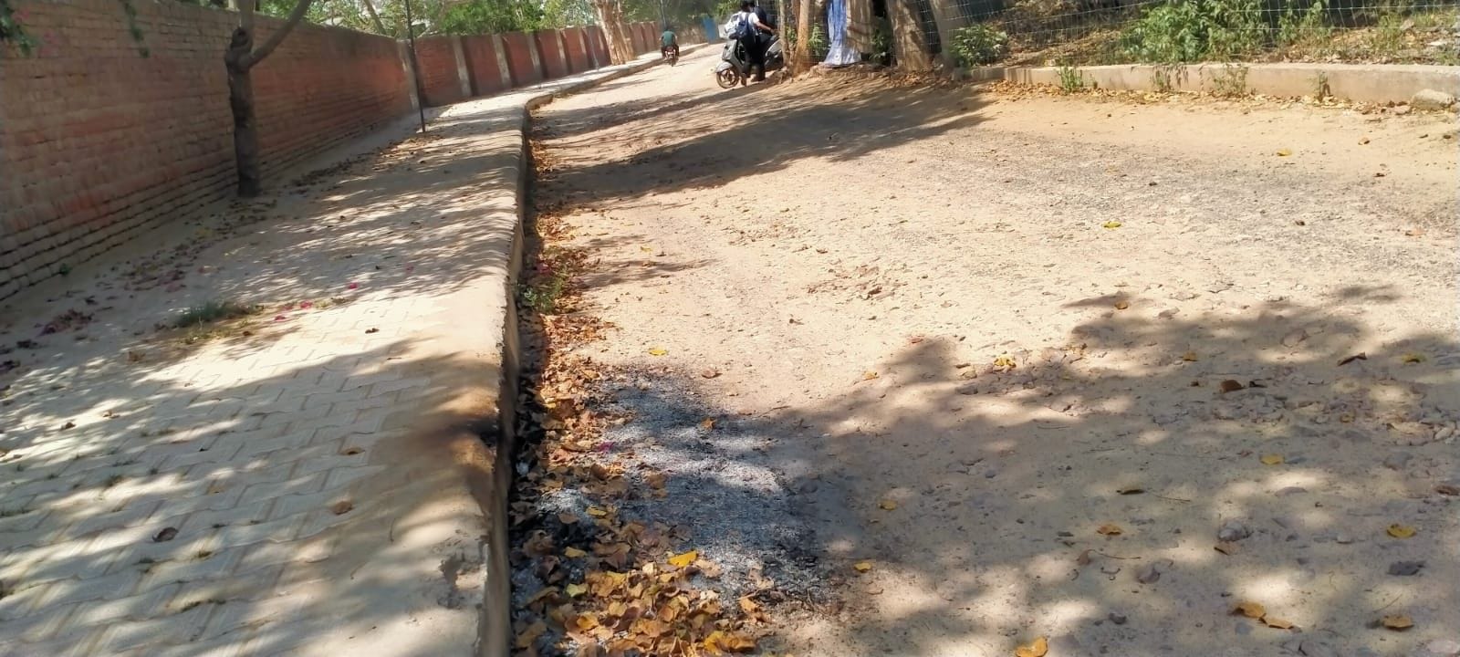 फोटो संख्या:62- दोपहर 11:30 बजे वन विभाग कार्यालय के सामने जलता हुआ कूड़ा---संवाद