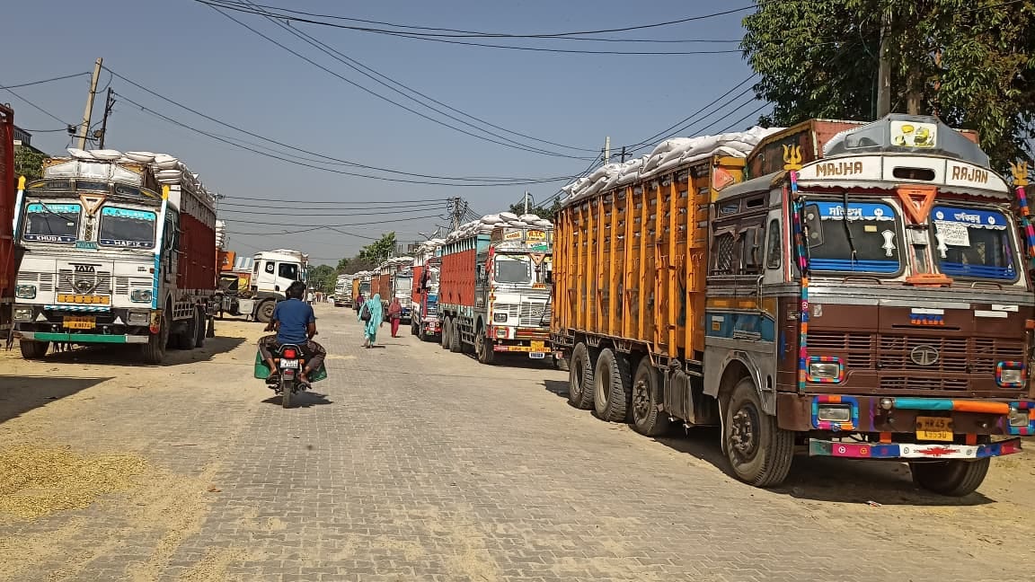 जगाधरी अनाज मंडी में गेहूं के कट्टों की सिलाई करता मजदूर। संवाद