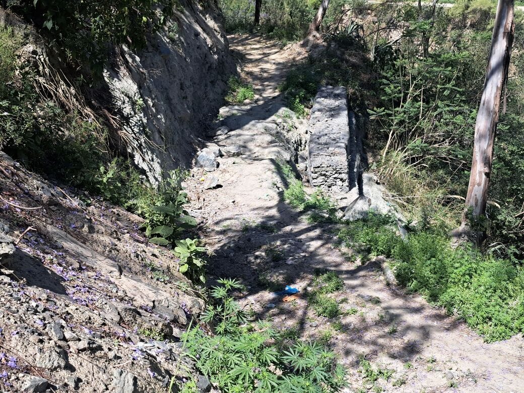 जसवंत सिंह। अभियान की खबर जसवंत सिंह। अभियान की खबर
