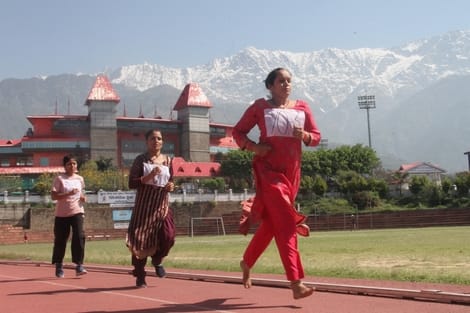 नौकरी के लिए दौड़... प्रदेश भर में पशुपालन विभाग में पशु मित्र पदों पर भर्ती प्रक्रिया जोरों पर