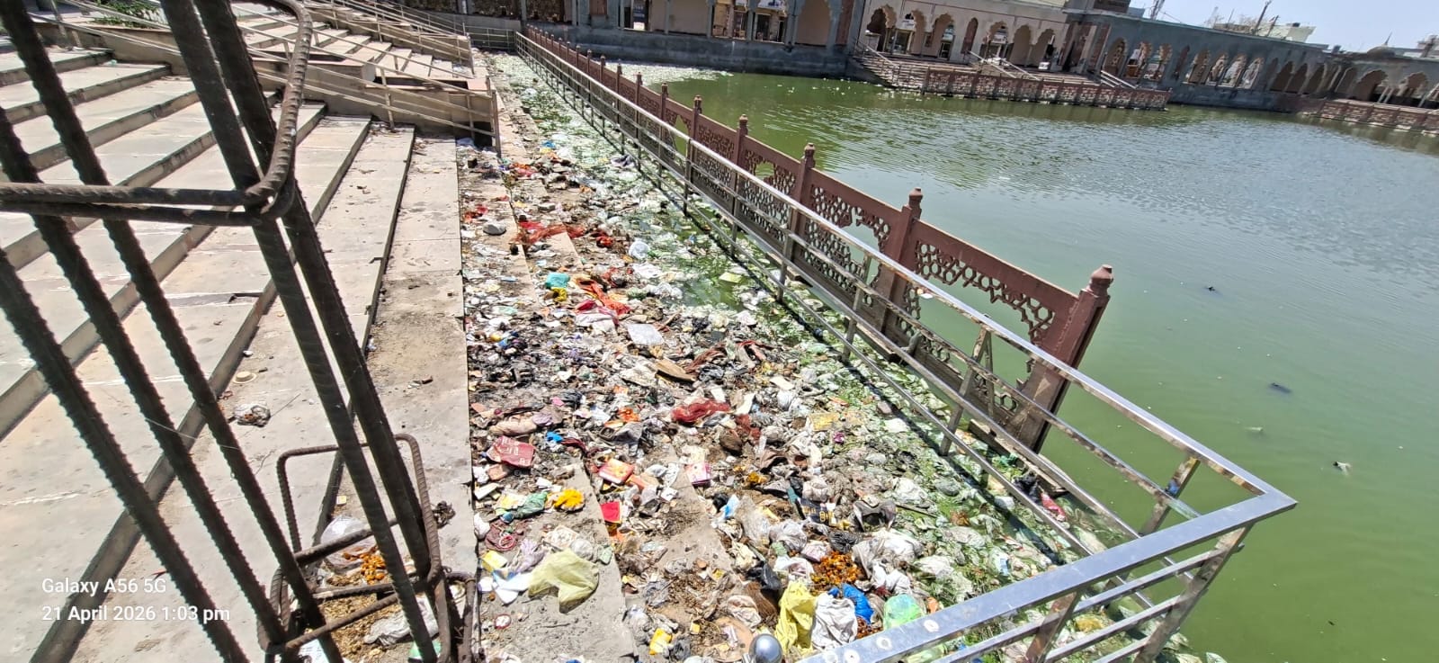 नौरंगराय तालाब का गंदा पानी। संवाद