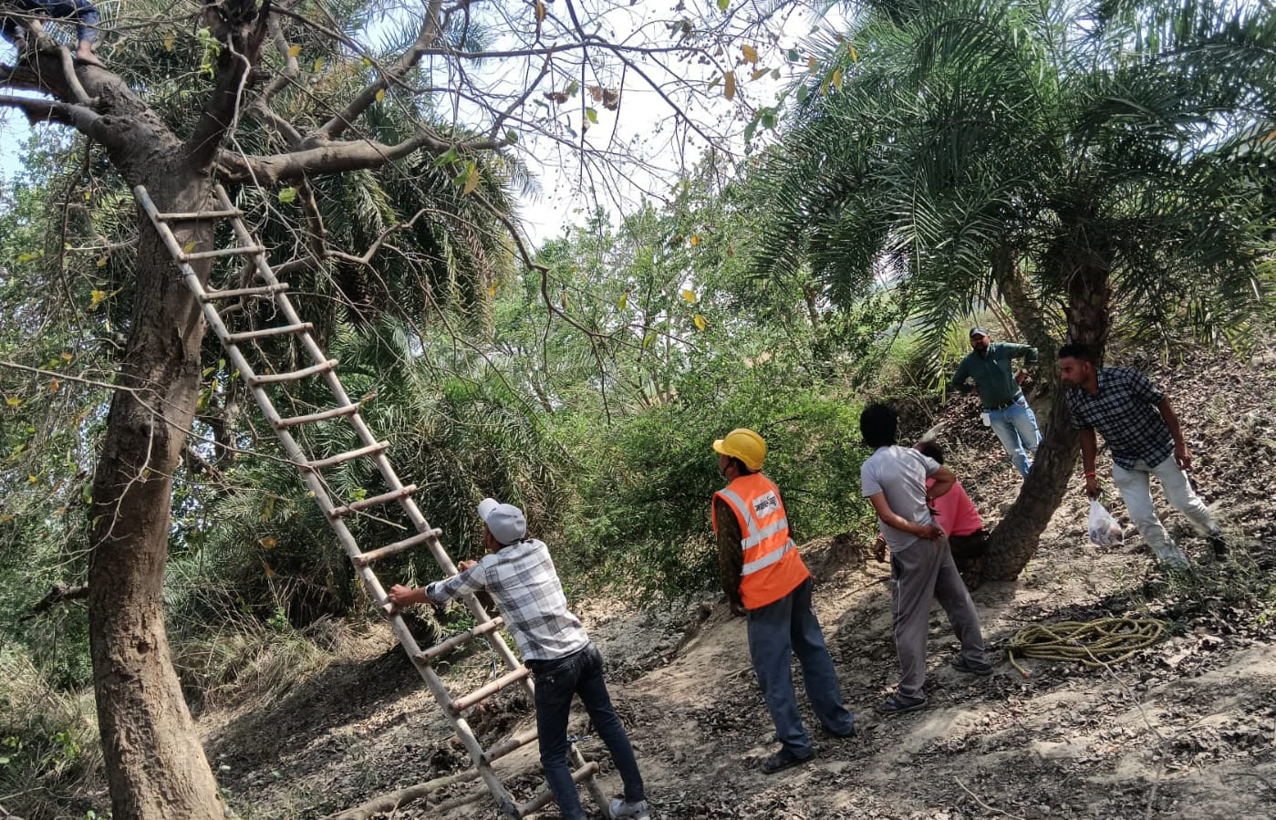 पेड़ गिरने से टूटे पड़े बिजली के तार। संवाद