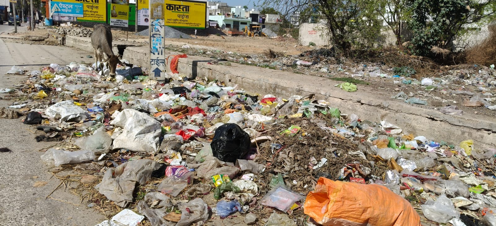 राहुल सैनी, वार्डवासी राहुल सैनी, वार्डवासी
