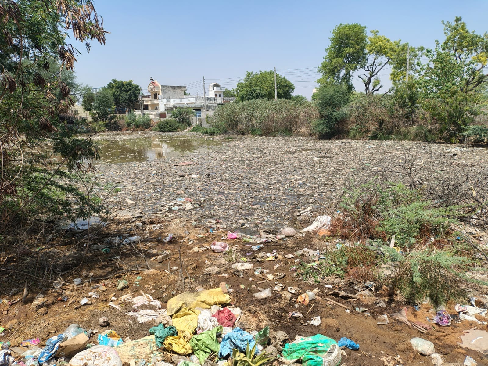 फोटो : सोनीपत के गांव रायपुर में गंदगी से अटा तालाब। संवाद फोटो : सोनीपत के गांव रायपुर में गंदगी से अटा तालाब। संवाद