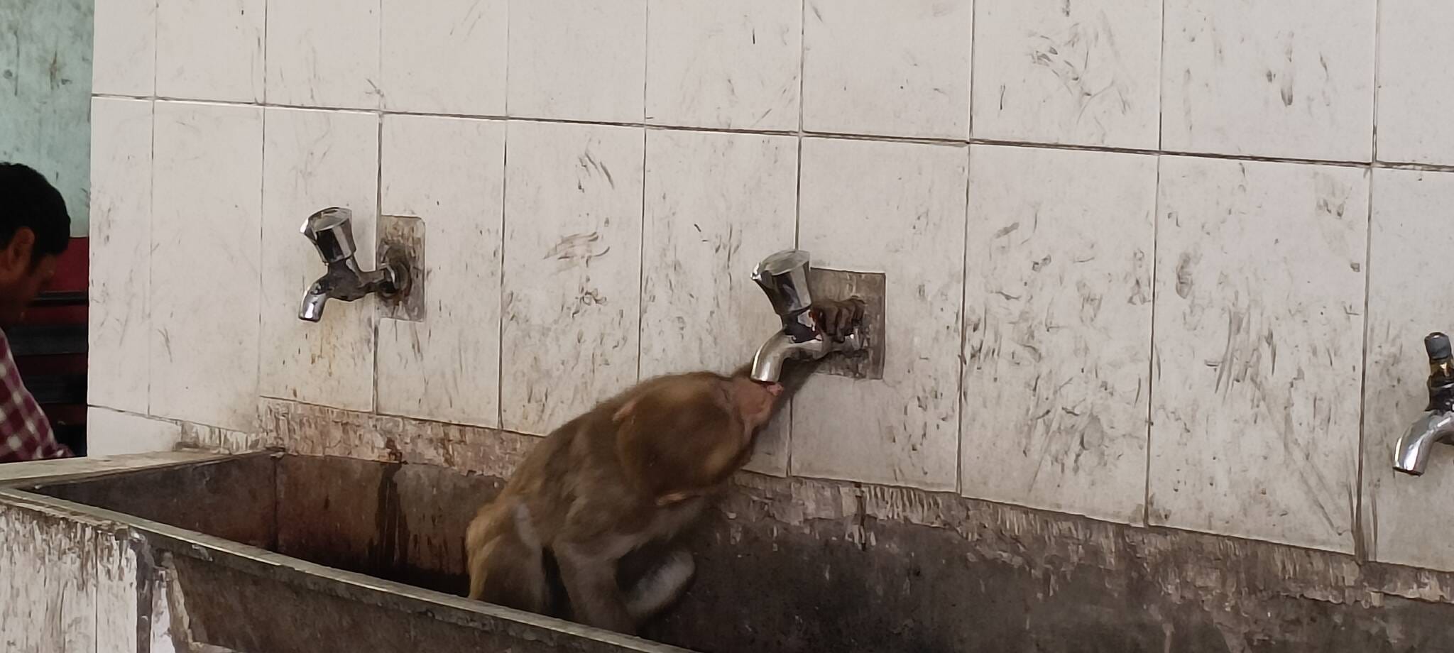 फोटो 15 स्टेशन रोड पर धूप से बचने के लिए चेहरे को कपड़े से छिपाकर जाती महिलाएं।