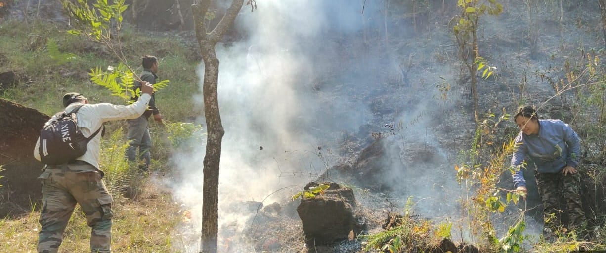 पोखरी के जंगलों में आग बुझाते वन कर्मी। स्रोत: वन विभाग 