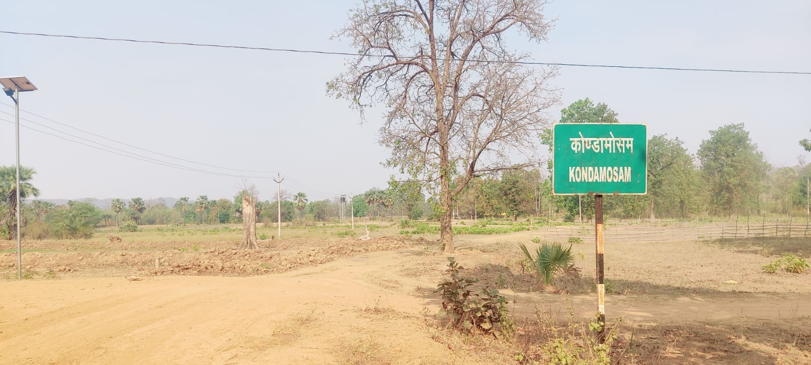 बीजापुर न्यूज