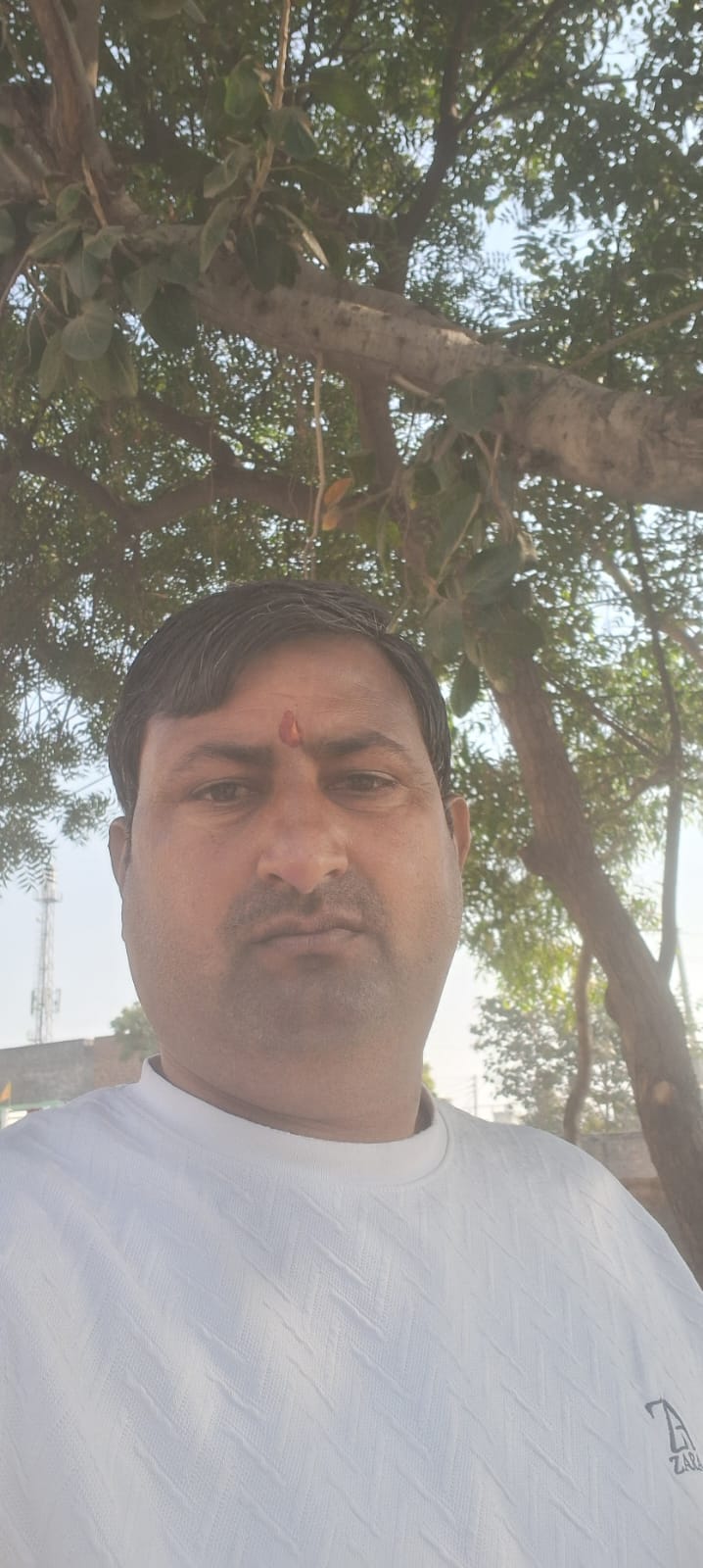 फोटो : सोनीपत के गांव राठधना में बंद पड़ा पुस्तकालय। संवाद फोटो : सोनीपत के गांव राठधना में बंद पड़ा पुस्तकालय। संवाद