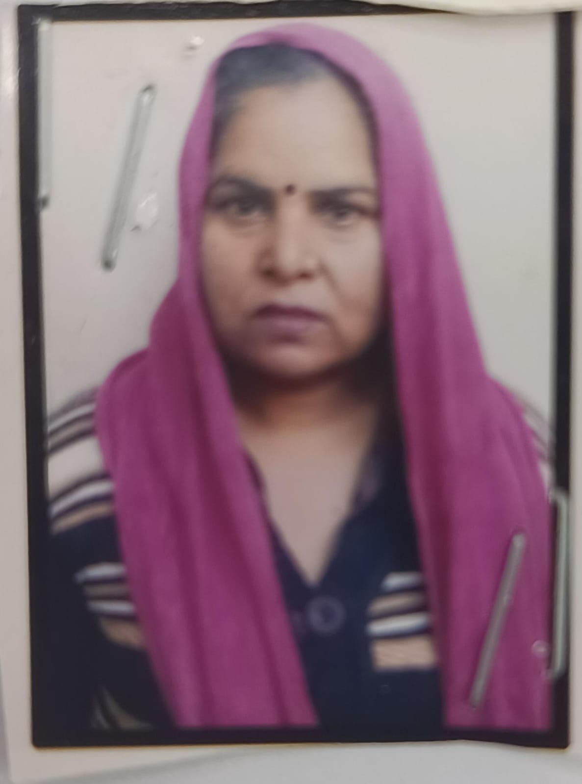 विनीता पीपल भाजपा