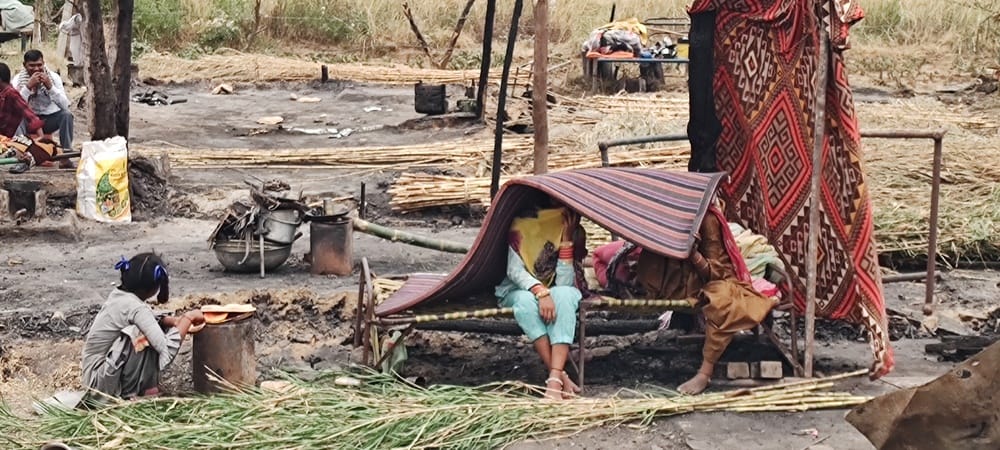 आशियाना खत्म हुए हौसलें नही ......ऊना के लाल सिगीं में पिछले आग से राख हुई झुगियों कोफिर से आशियाना खत्म हुए हौसलें नही ......ऊना के लाल सिगीं में पिछले आग से राख हुई झुगियों कोफिर से