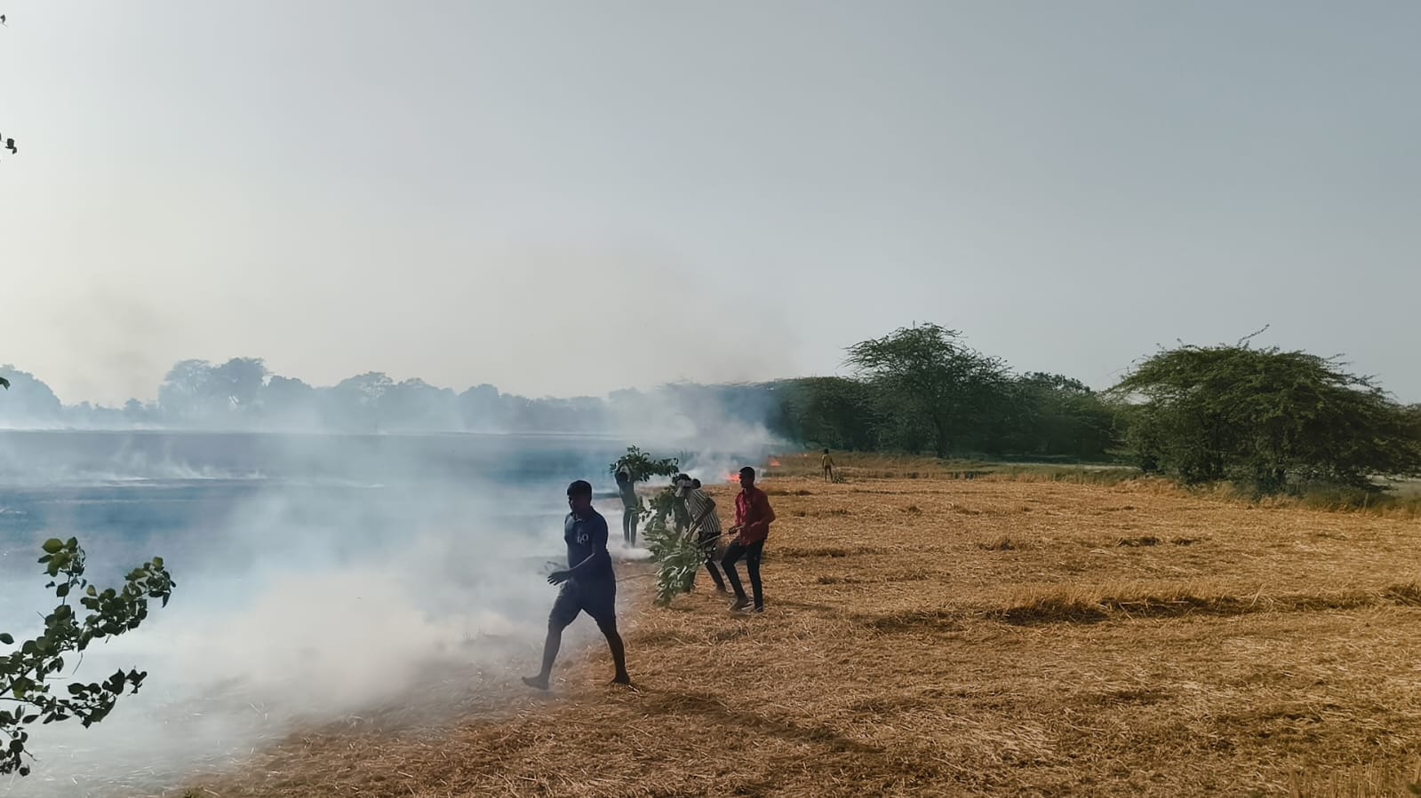 फोटो-35-खेतों में लगी आग बुझाने की मशक्कत करते ग्रामीण। संवाद फोटो-35-खेतों में लगी आग बुझाने की मशक्कत करते ग्रामीण। संवाद