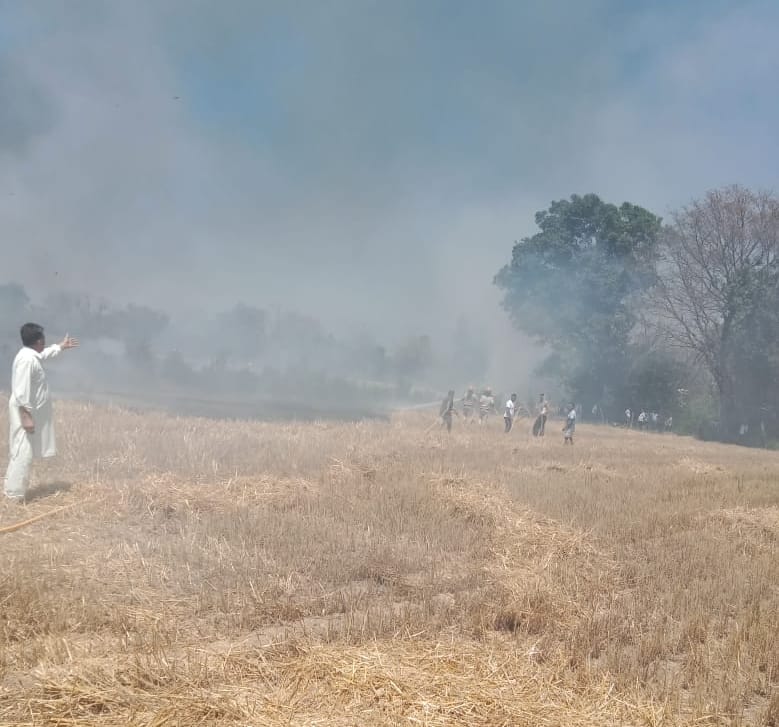 जवाली के सिद्धाथा क्षेत्र में खेतों में लगी आग को काबू करते फायर ब्रिगेड की टीम । जागरूक पाठक
