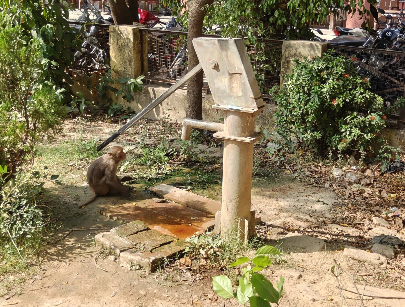 लालगंज तहसील परिसर में स्थित वाटर कूलर पर्याप्त पानी नहीं। संवाद
