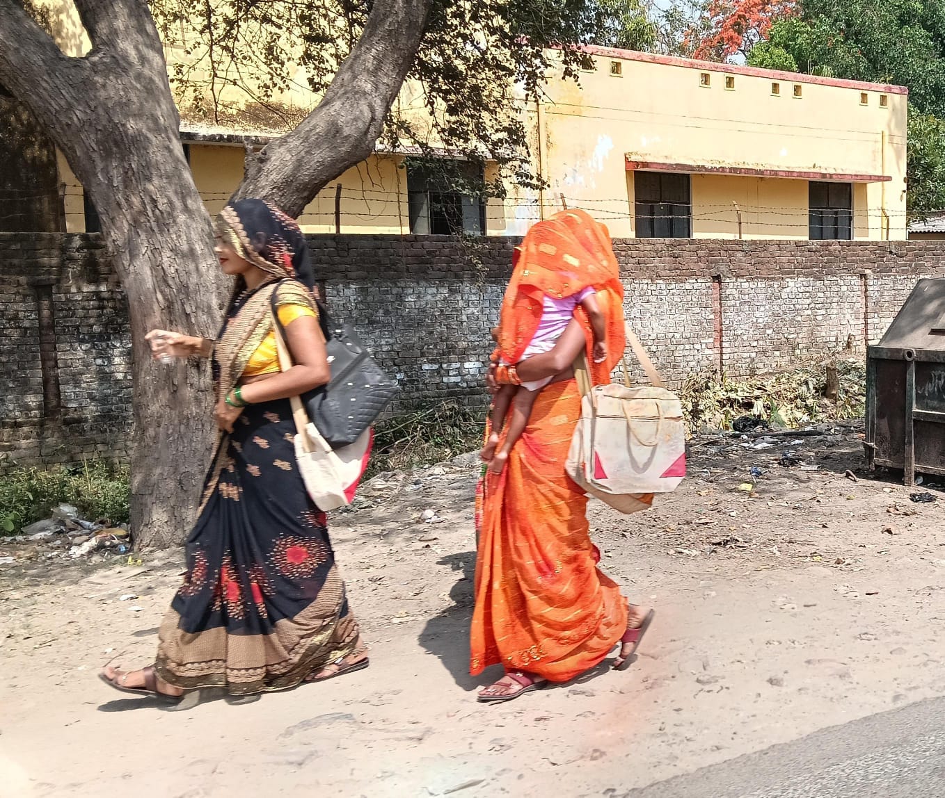पीलीभीत टाइगर रिजर्व में गर्मी से राहत पाने को पानी में तैरता बाघ स्रोत सोशल मीडिया