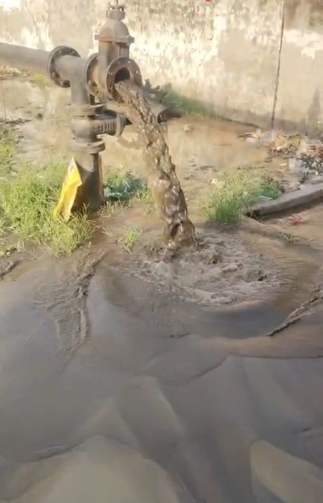 बराड़ा खंड के वार्ड 10 में नल से आ रहा गंदा पानी। संवाद