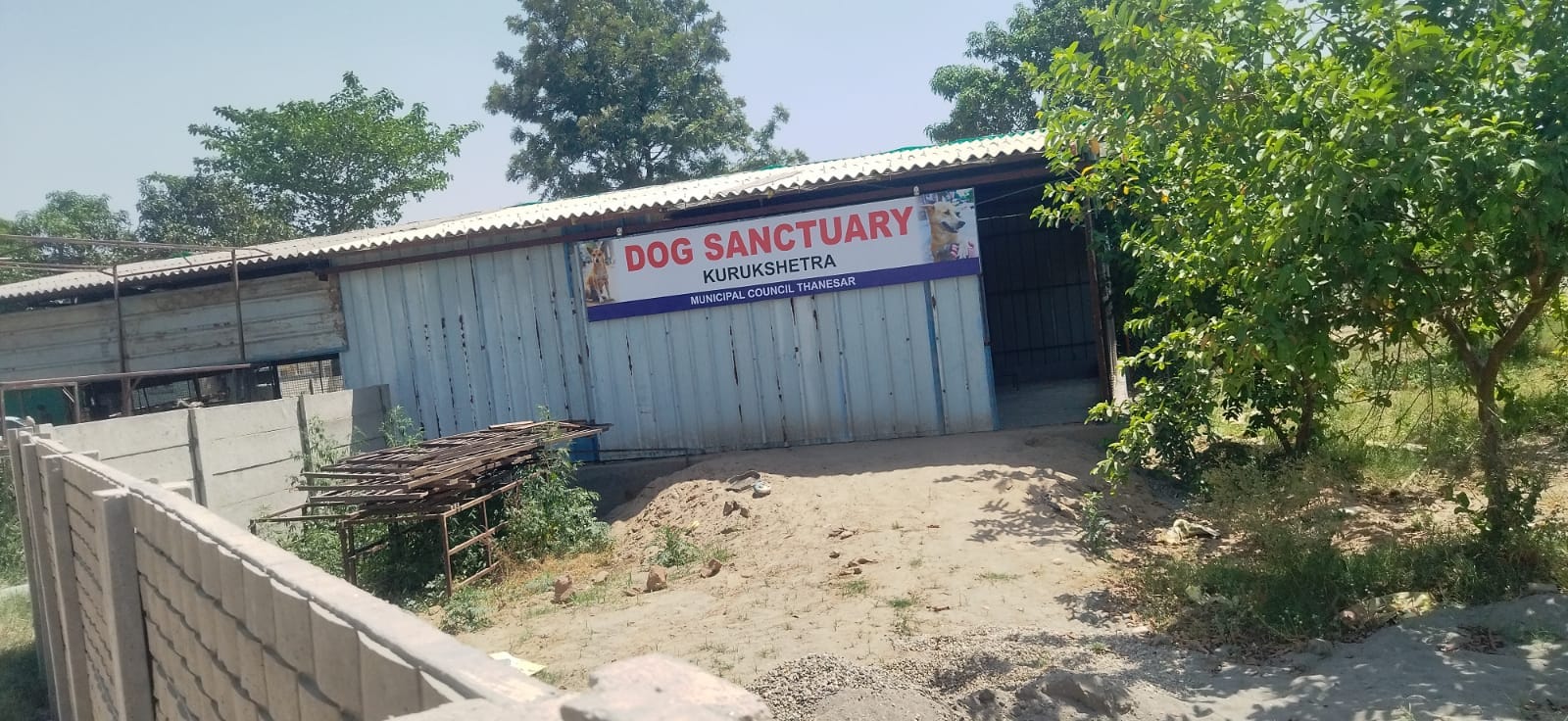 कुरुक्षेत्र। डॉग शैल्टर के बाहर कुत्ते को काबू करते कर्मी। संवाद कुरुक्षेत्र। डॉग शैल्टर के बाहर कुत्ते को काबू करते कर्मी। संवाद