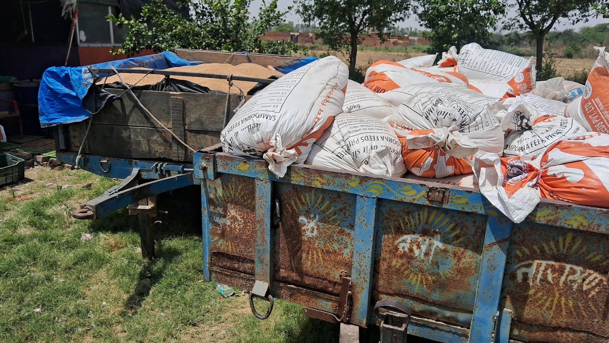 सोनीपत के खरखौदा में रोहतक मार्ग पर स्थित ढाबे पर गेहूं व बारदाना बरामद होने पर पुलिस से कार्रव सोनीपत के खरखौदा में रोहतक मार्ग पर स्थित ढाबे पर गेहूं व बारदाना बरामद होने पर पुलिस से कार्रव