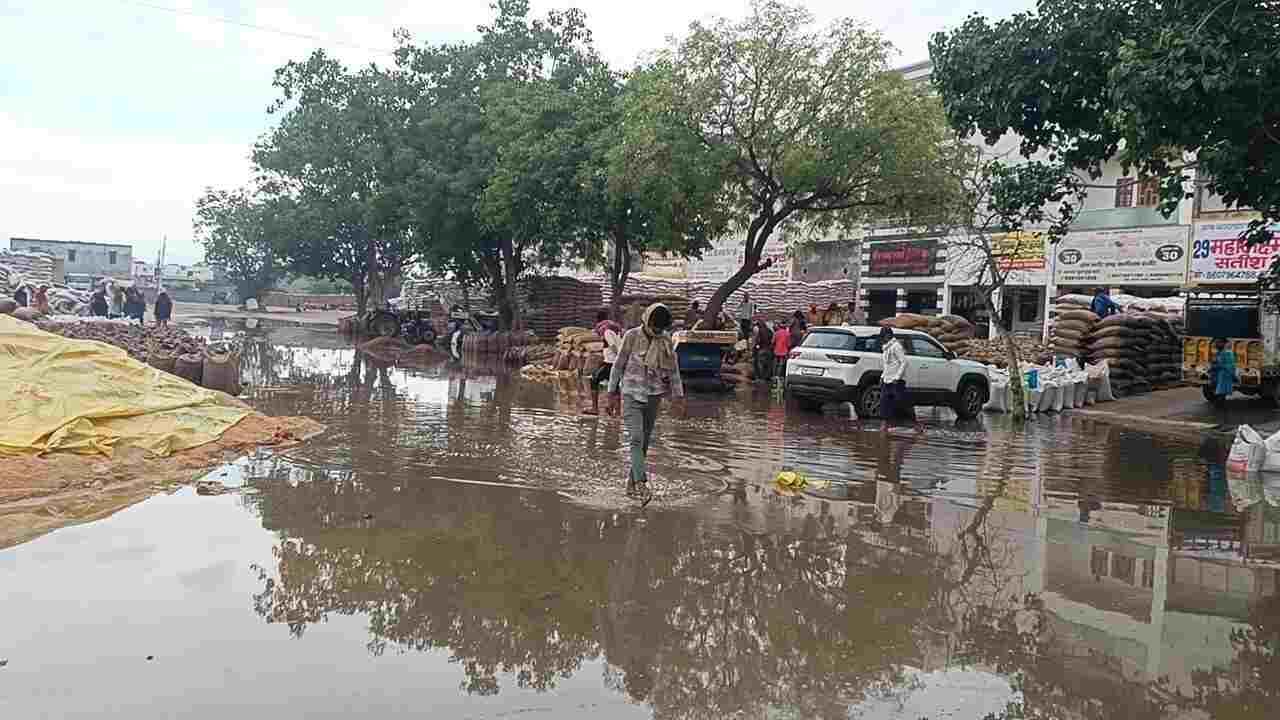 फोटो  : सोनीपत की नई अनाज मंडी में गेहूं के ढेर के पास भरा बारिश का पानी। संवाद