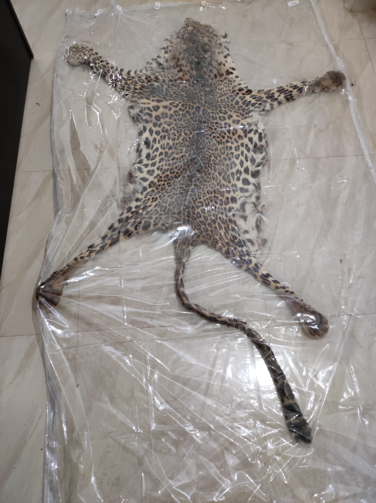 गिरफ्तार आरोपी व जब्त खाल