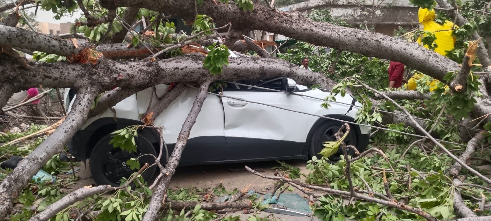 कप्तानगंज मेें टिन शेड उड़कर तार पर लटका। संवाद