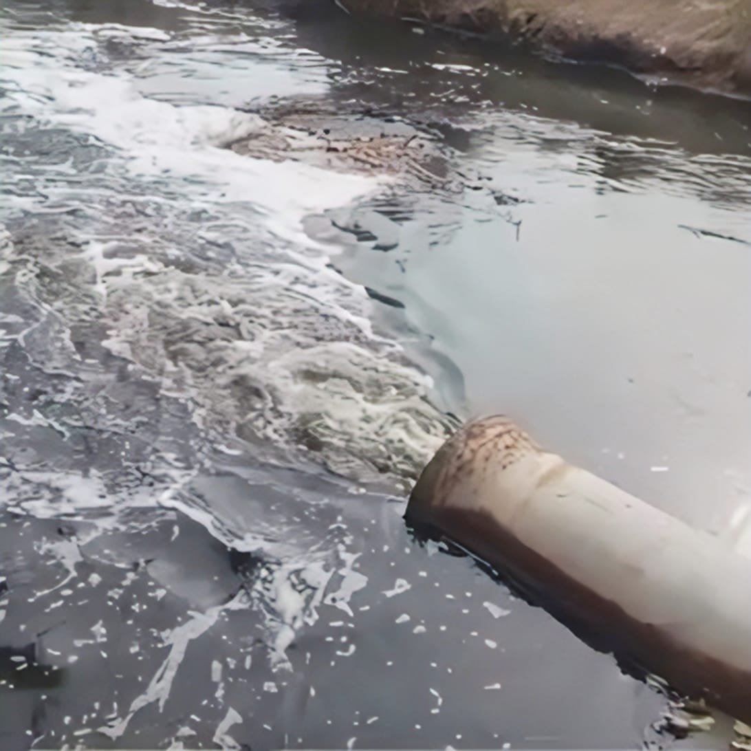 मोहन लाल वार्ड संख्या 2