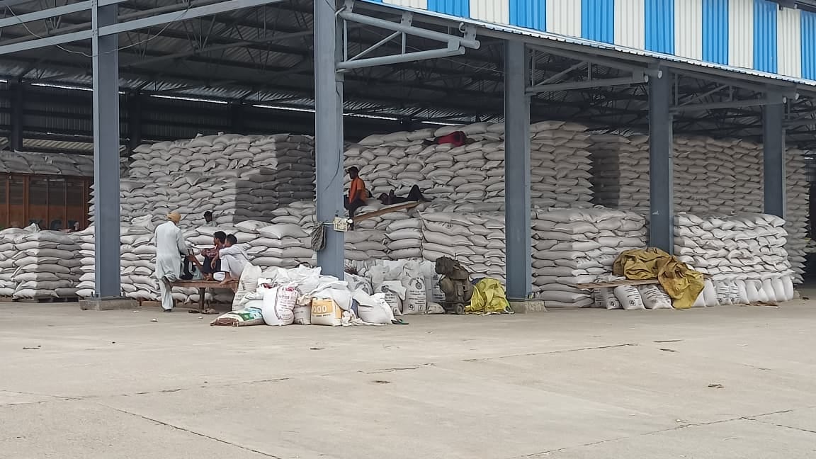 व्यासपुर अनाजमंडी में उठान न होने के कारण खुले में पड़ी गेहूं की बोरियां। संवाद