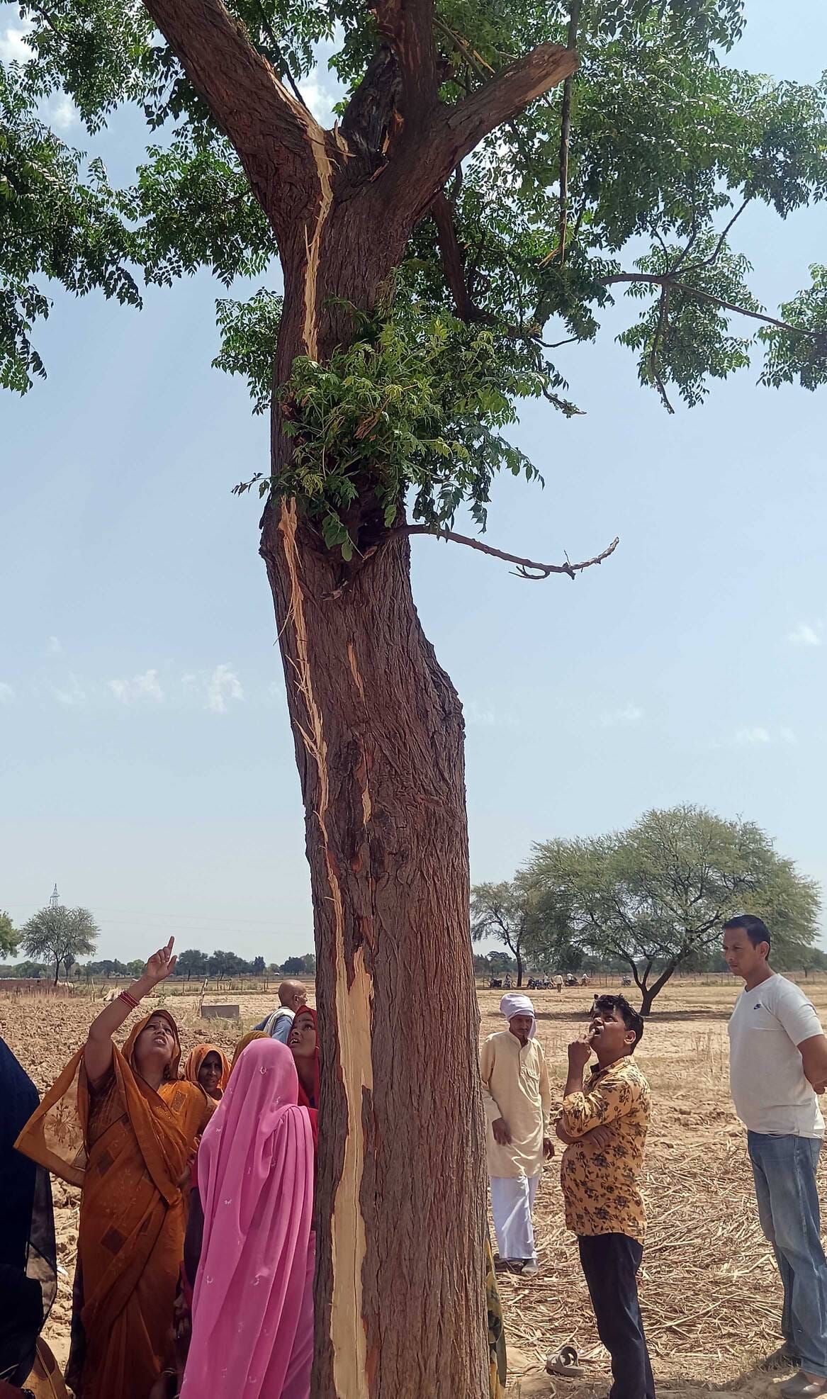 आंधी-बारिश से गिरे पेड़, बाह में मृतक महेश कुमार। 