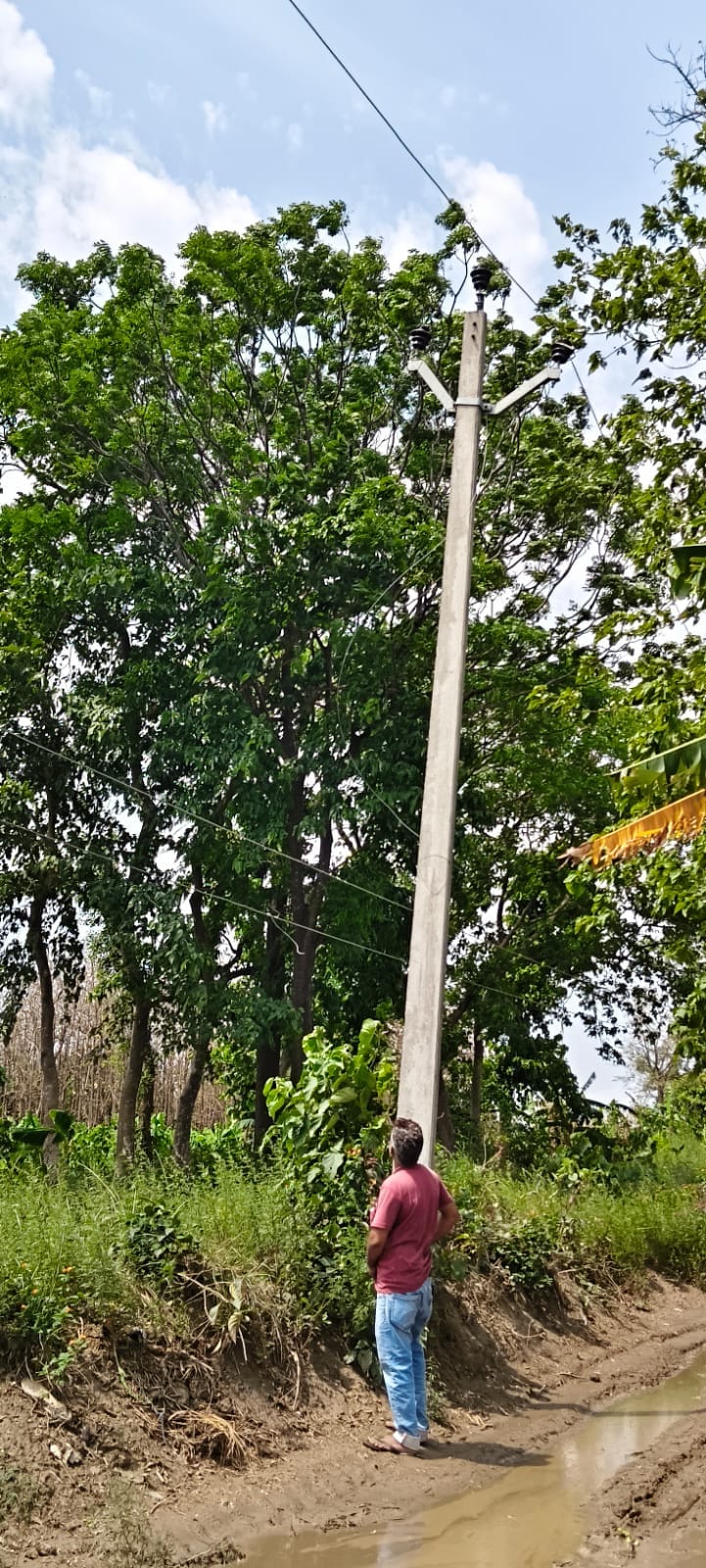 जौरा बाजार में पेड़ की मोटी डाल सड़क पर गिरने से आवागमन बाधित।स्रोत-सोशल मीडिया