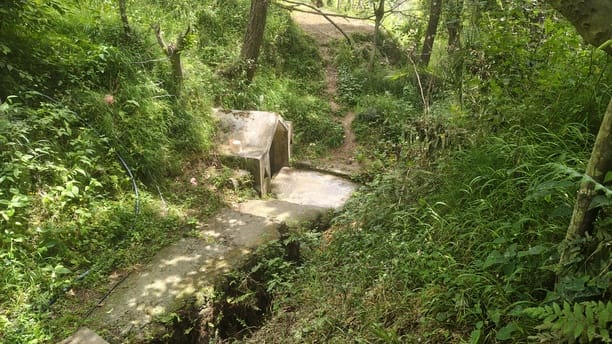 मनीराम, वार्ड 16। वार्ड का हाल।