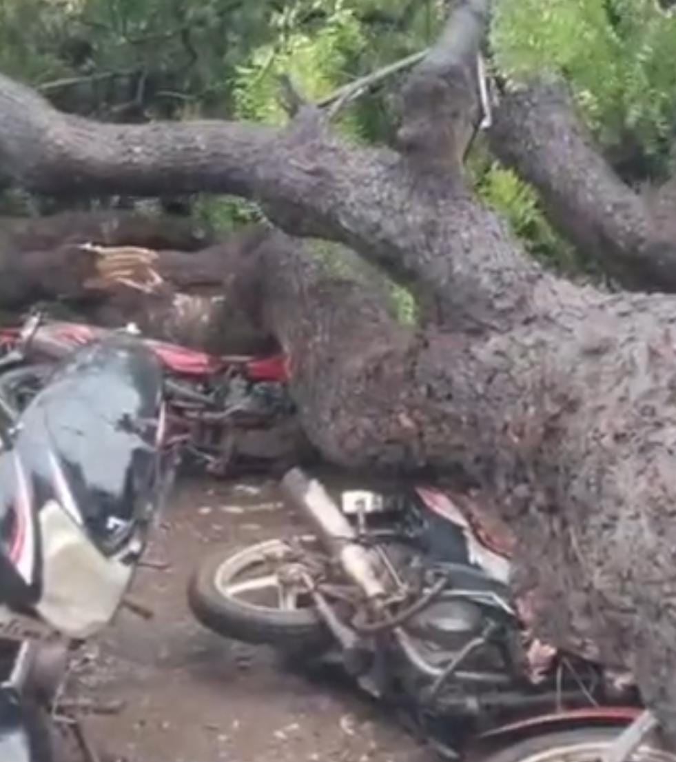 आंधी तूफान ने मचाया कहर