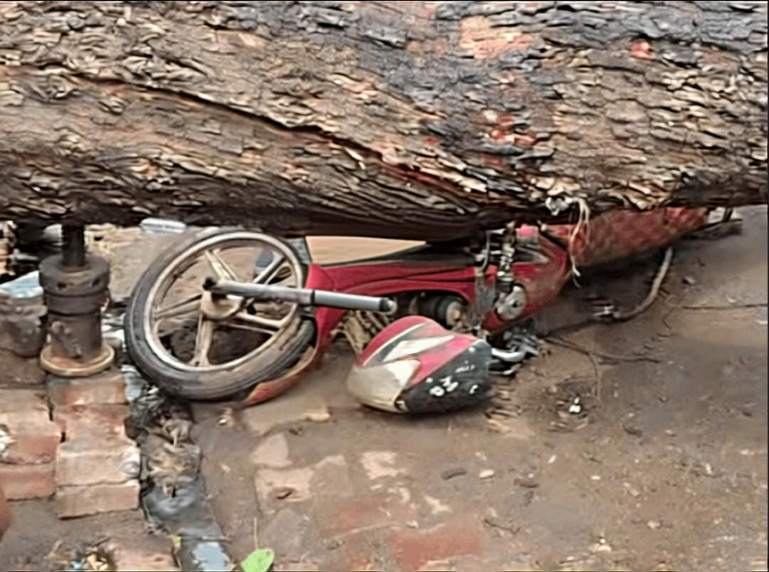 आंधी तूफान ने मचाया कहर