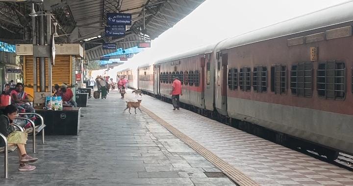 korba
