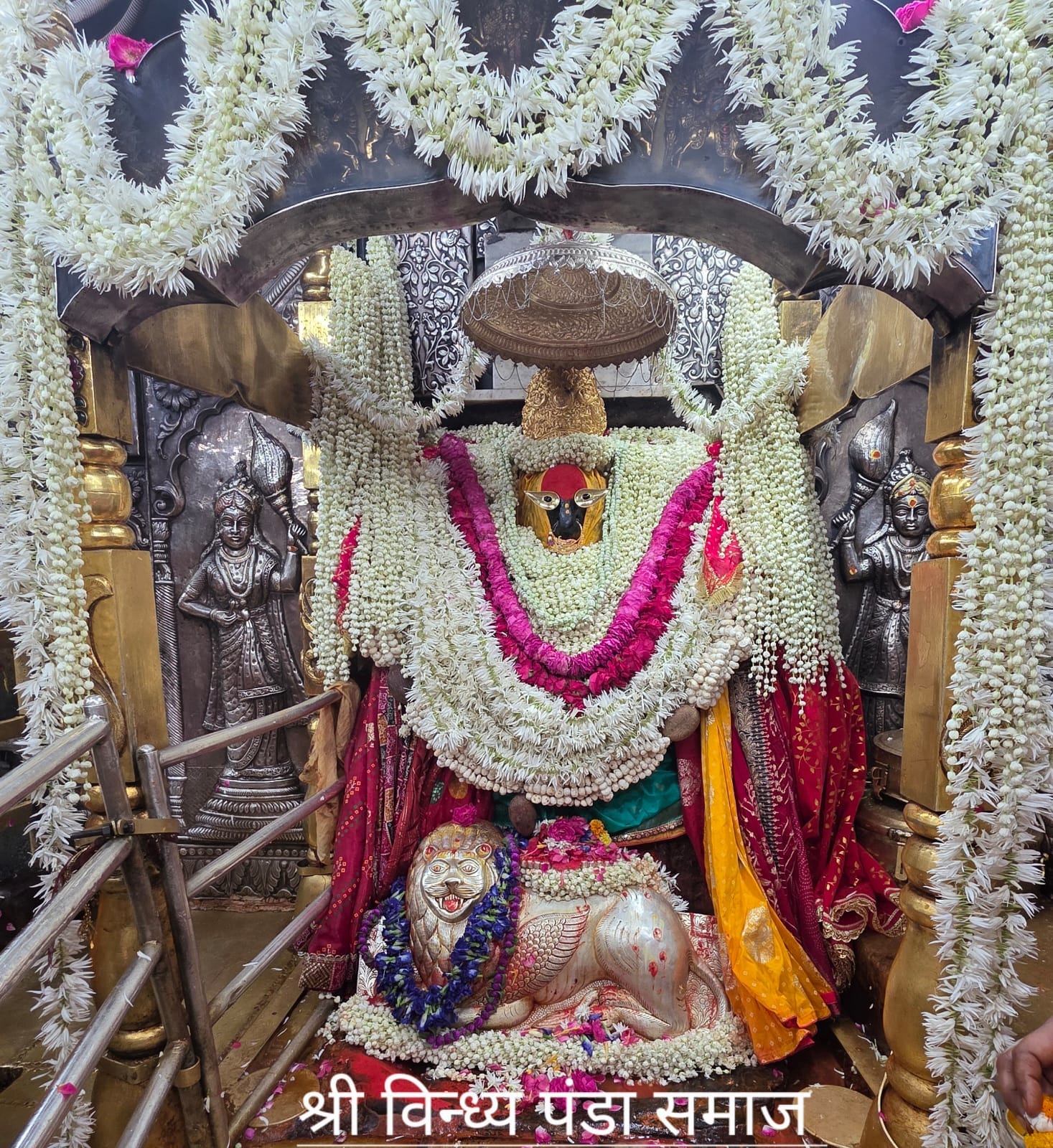 मां विंध्यवासिनी के दर्शन व पूजन के लिए श्रद्धालुओं की लगी कतार, संवाद मां विंध्यवासिनी के दर्शन व पूजन के लिए श्रद्धालुओं की लगी कतार, संवाद