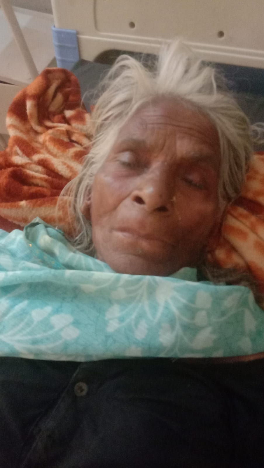 मधुमक्खी के हमले में बेहोश महिला, संवाद