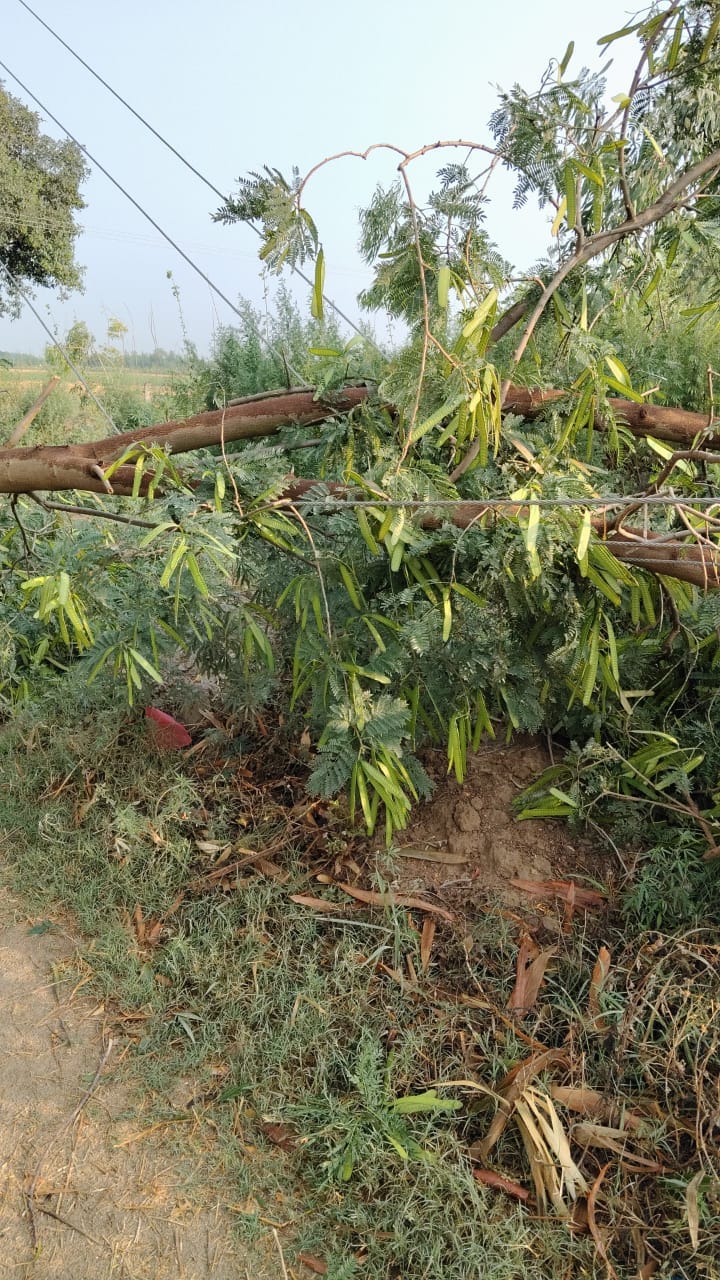 वंदना गुप्ता।
